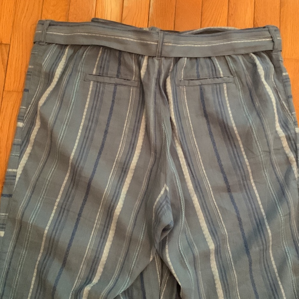 Anthropologie Blue Striped Cropped Pants - Picture 13 of 15